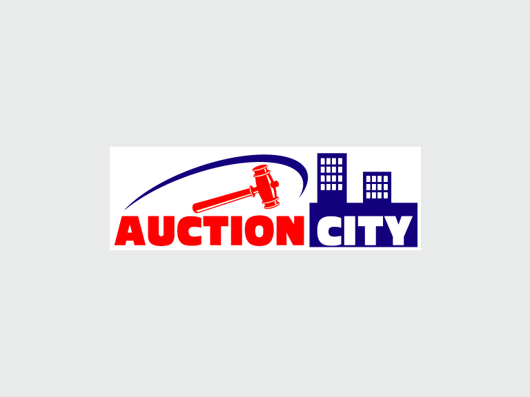 WINTER AUCTION