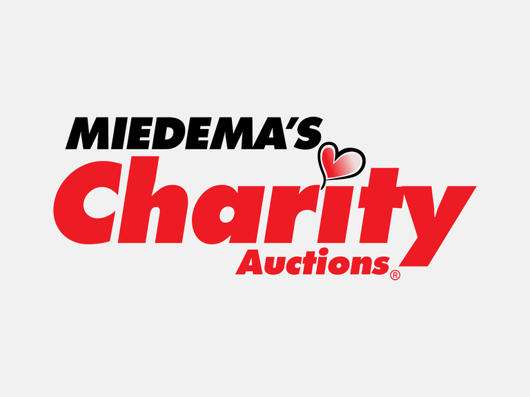 Miedema Charity Auctions