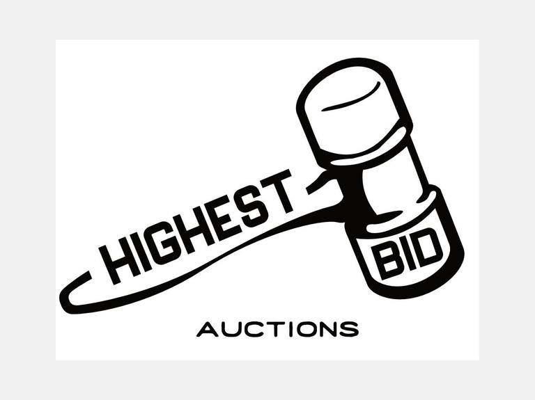 auction bid
